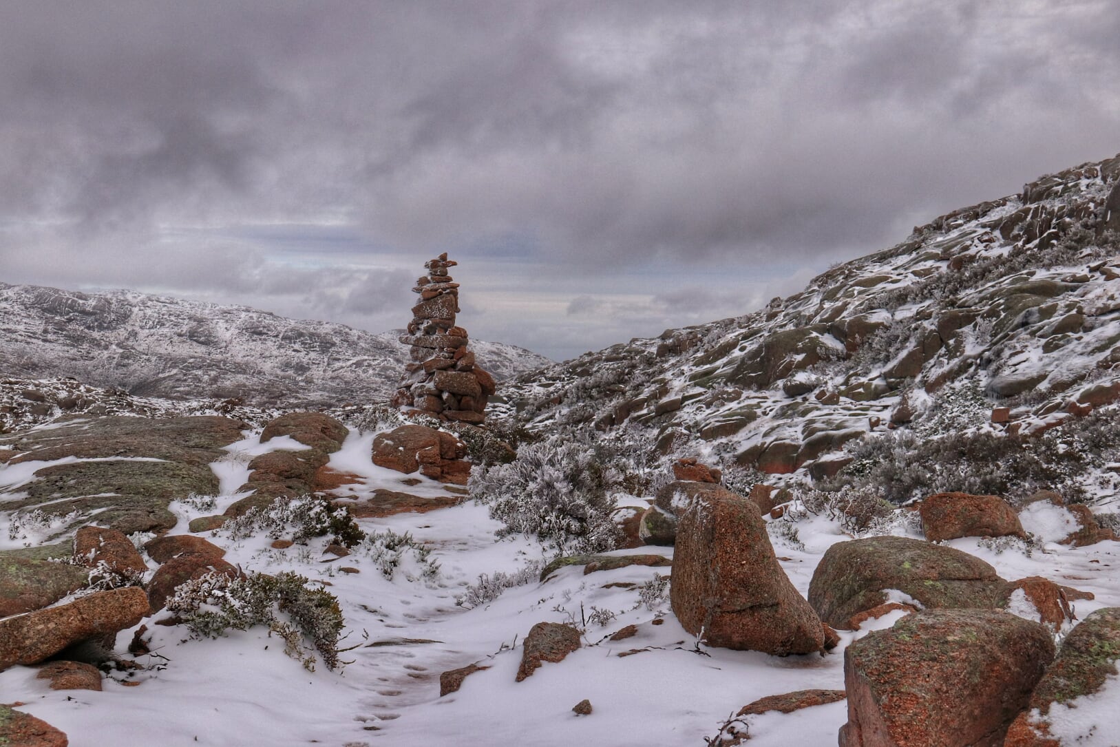 Mariola-20-01 Garranos no Parque Nacional