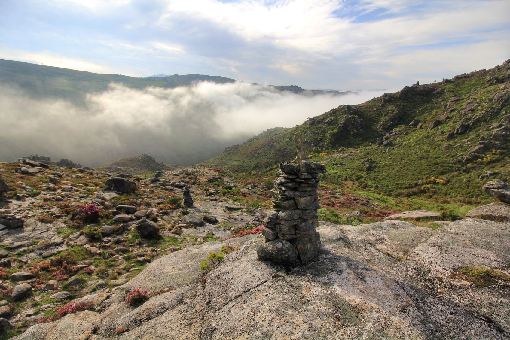 IMG_2254_PNPG-01 Garranos no Parque Nacional