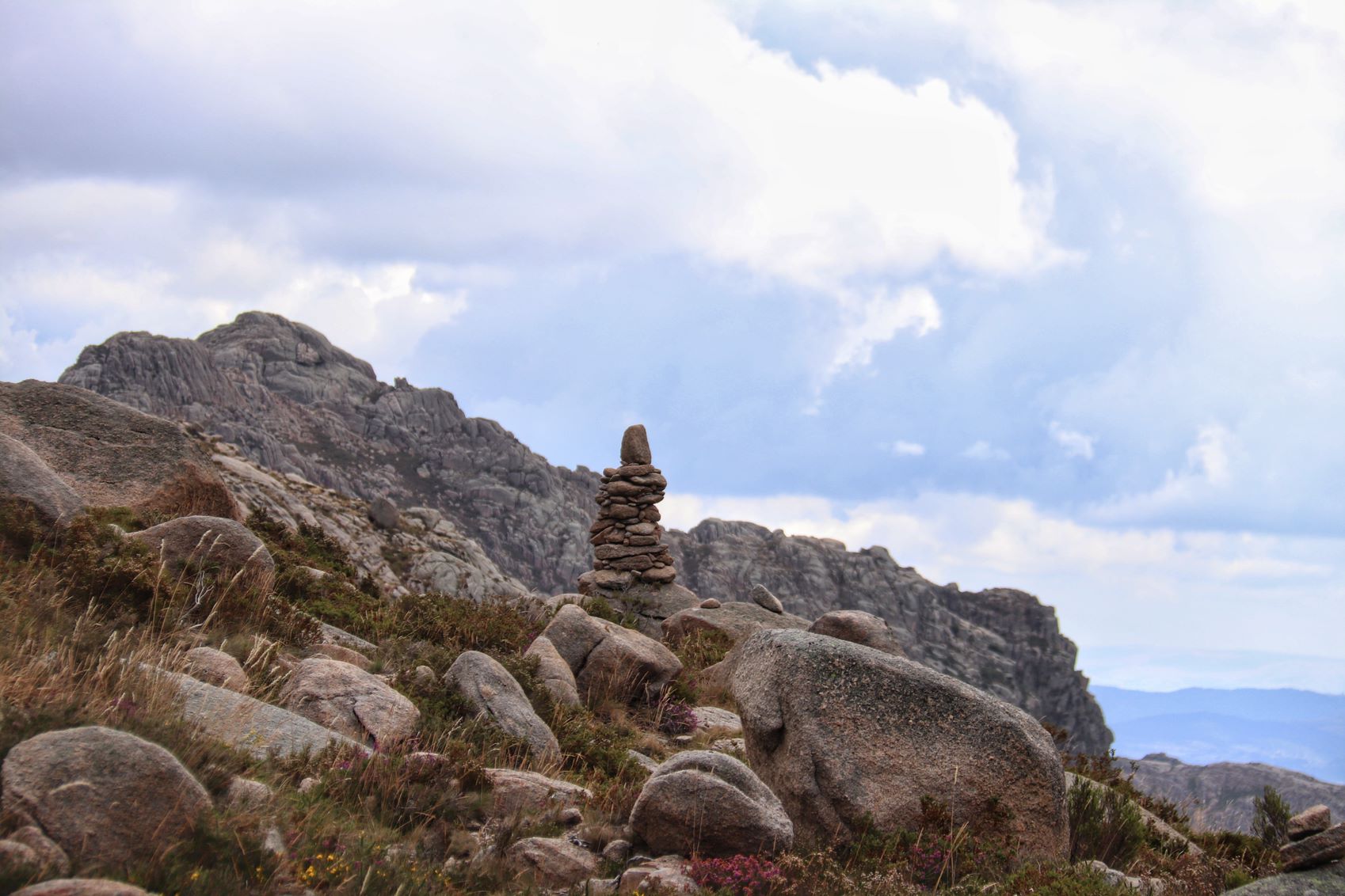 IMG_8964-01 Cabra-Montês – Capra Pyrenaica