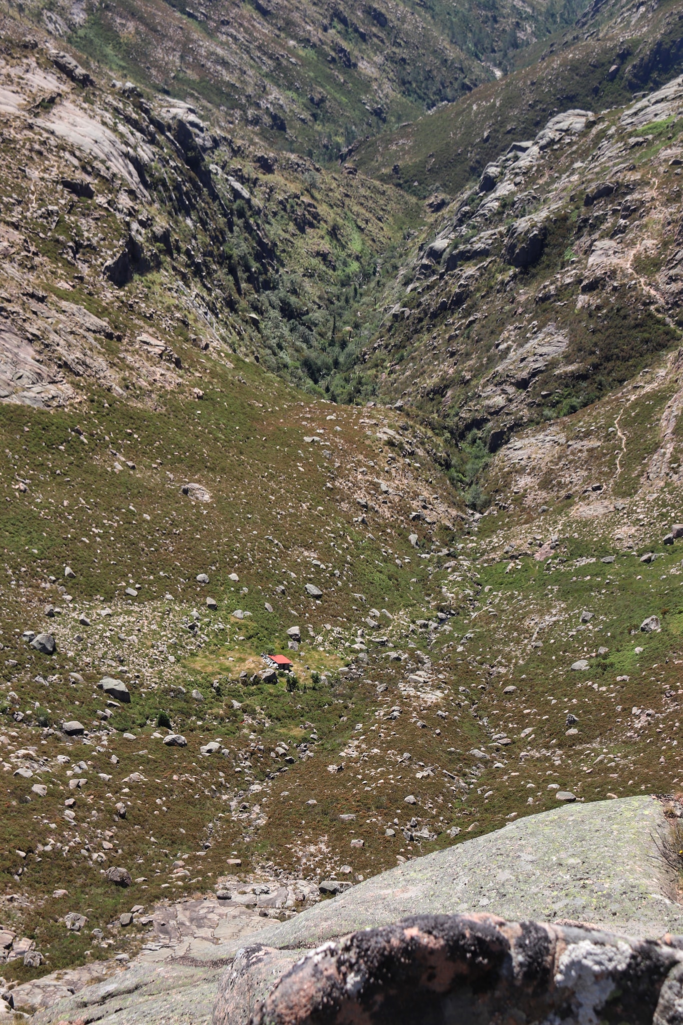 155209451_3871715882888075_8301390912723229798_o Cabra-Montês – Capra Pyrenaica