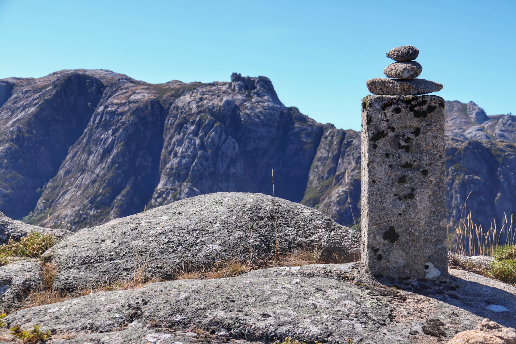 IMG_1802-01 Cabra-Montês – Capra Pyrenaica