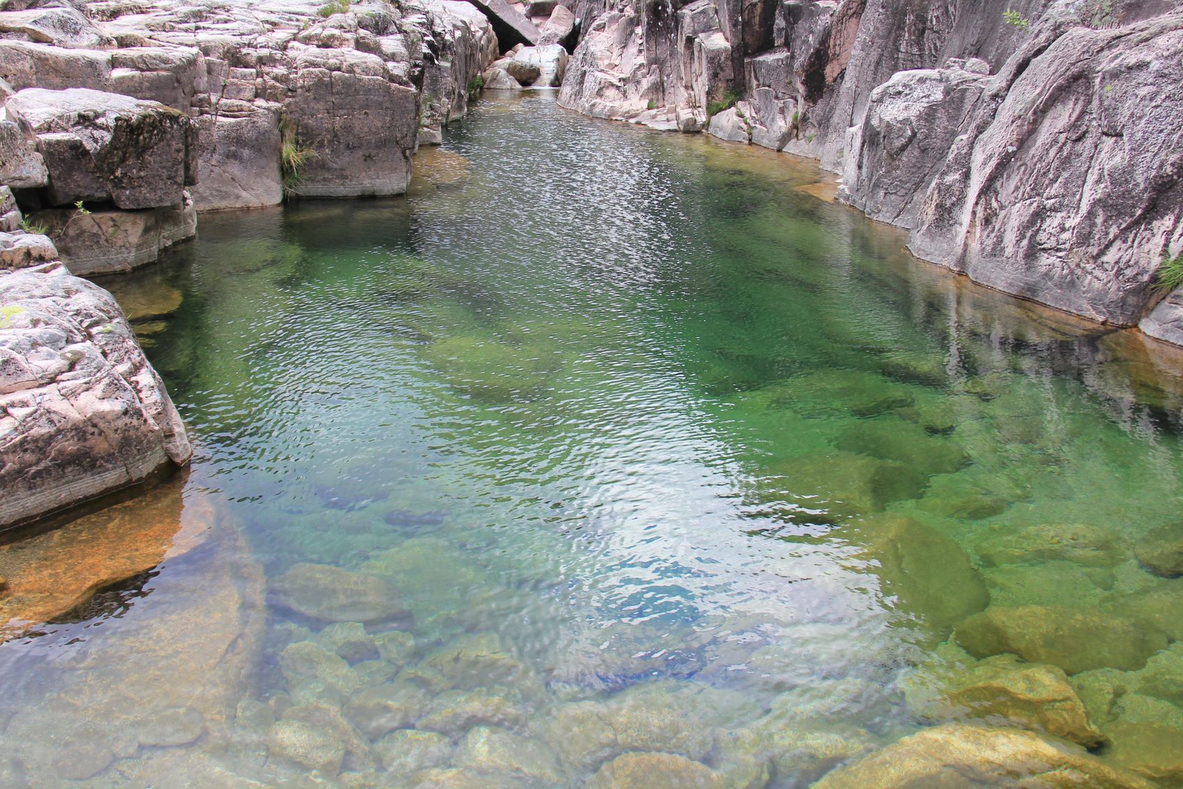 IMG_9224_PNPG-01-1 Garranos no Parque Nacional