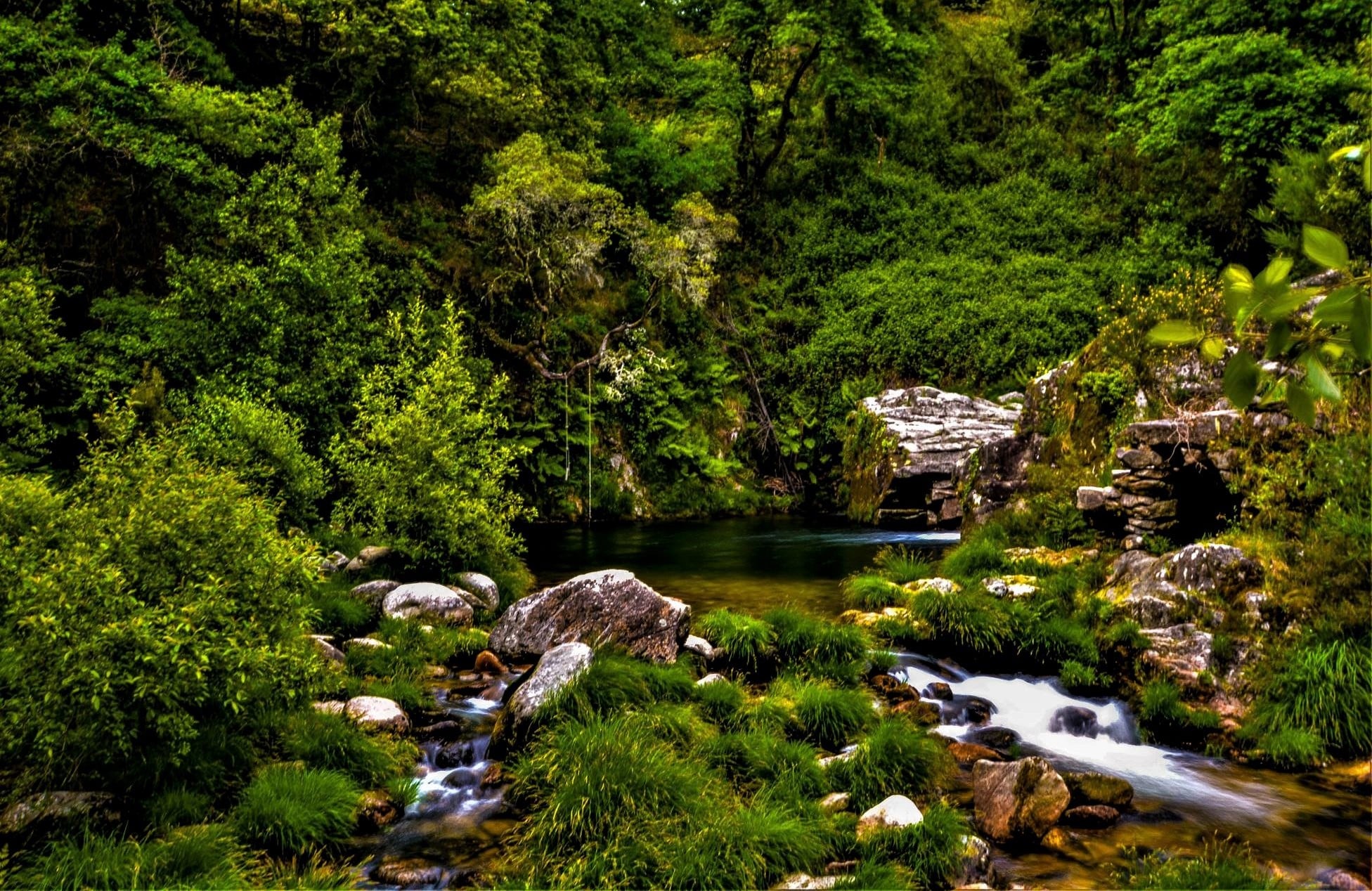 167411221_10159029979394904_7236092206646981498_n Garranos no Parque Nacional