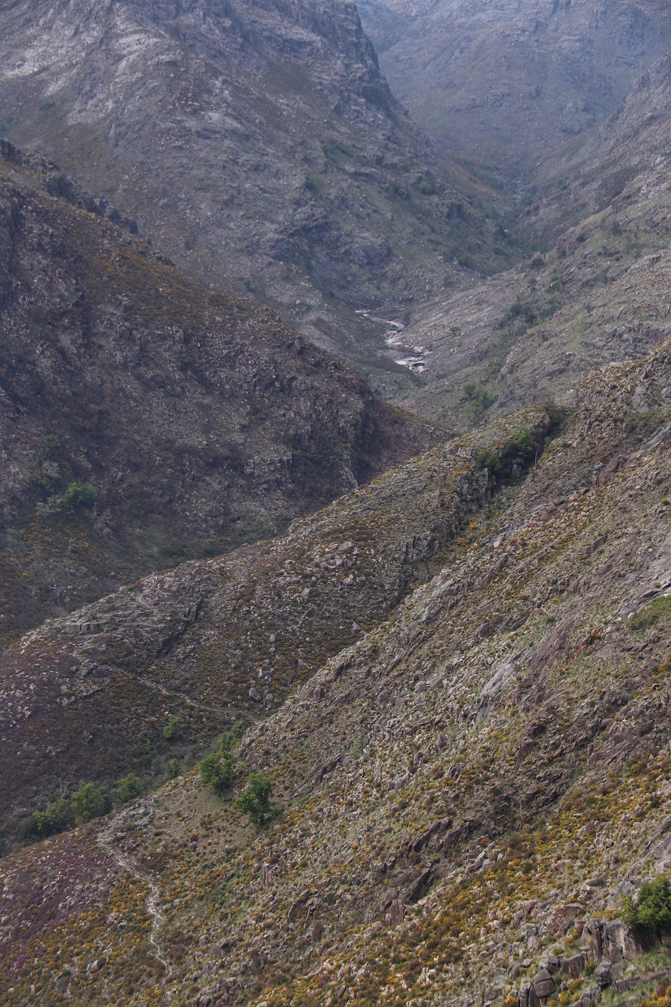 175602859_1832640120232998_269017888828285741_n Garranos no Parque Nacional