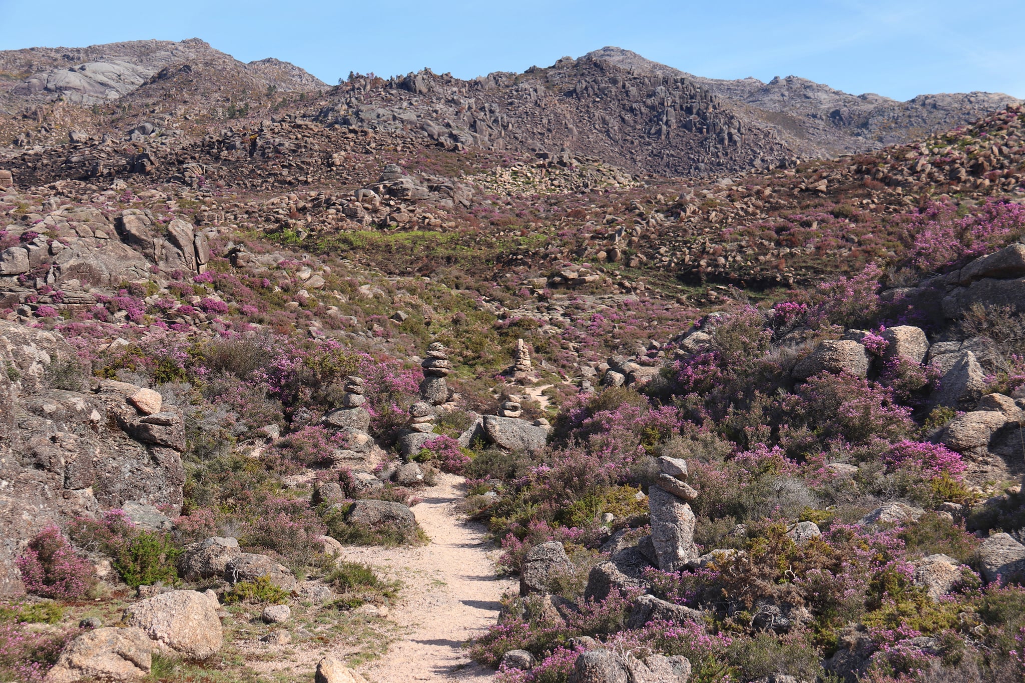 175984590_1834291866734490_5235103954371577224_n Garranos no Parque Nacional