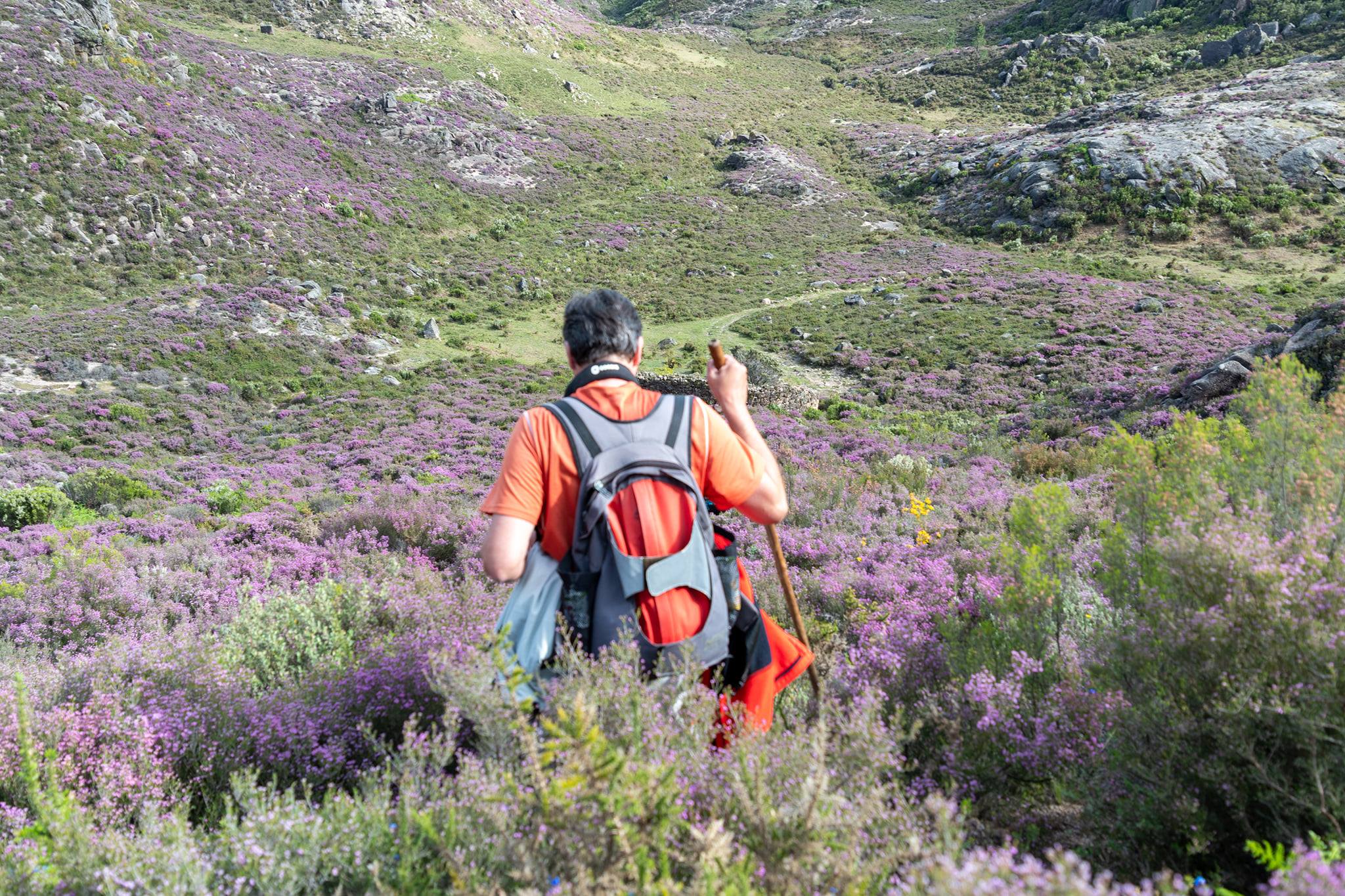 177772370_1836800089817001_4975508997243166882_n Garranos no Parque Nacional