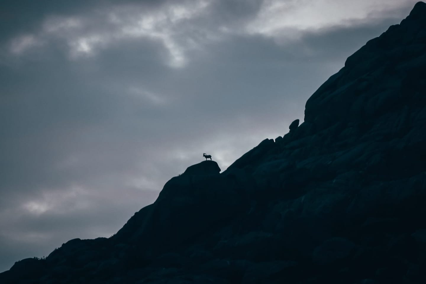 170798818_2919717888348233_4815915183897649976_n Garranos no Parque Nacional