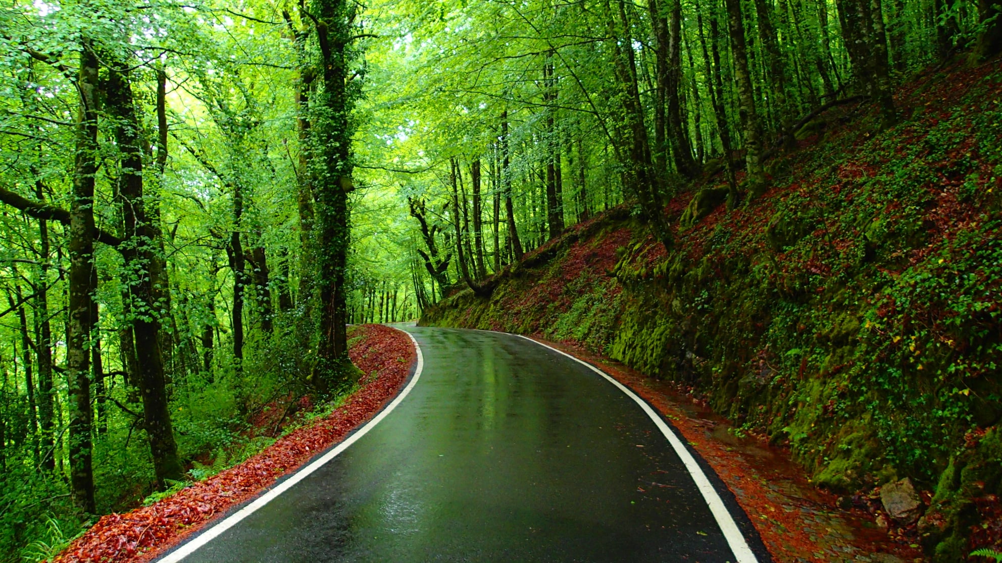 186510007_4331611310206505_5013151063336649947_n-1 Garranos no Parque Nacional