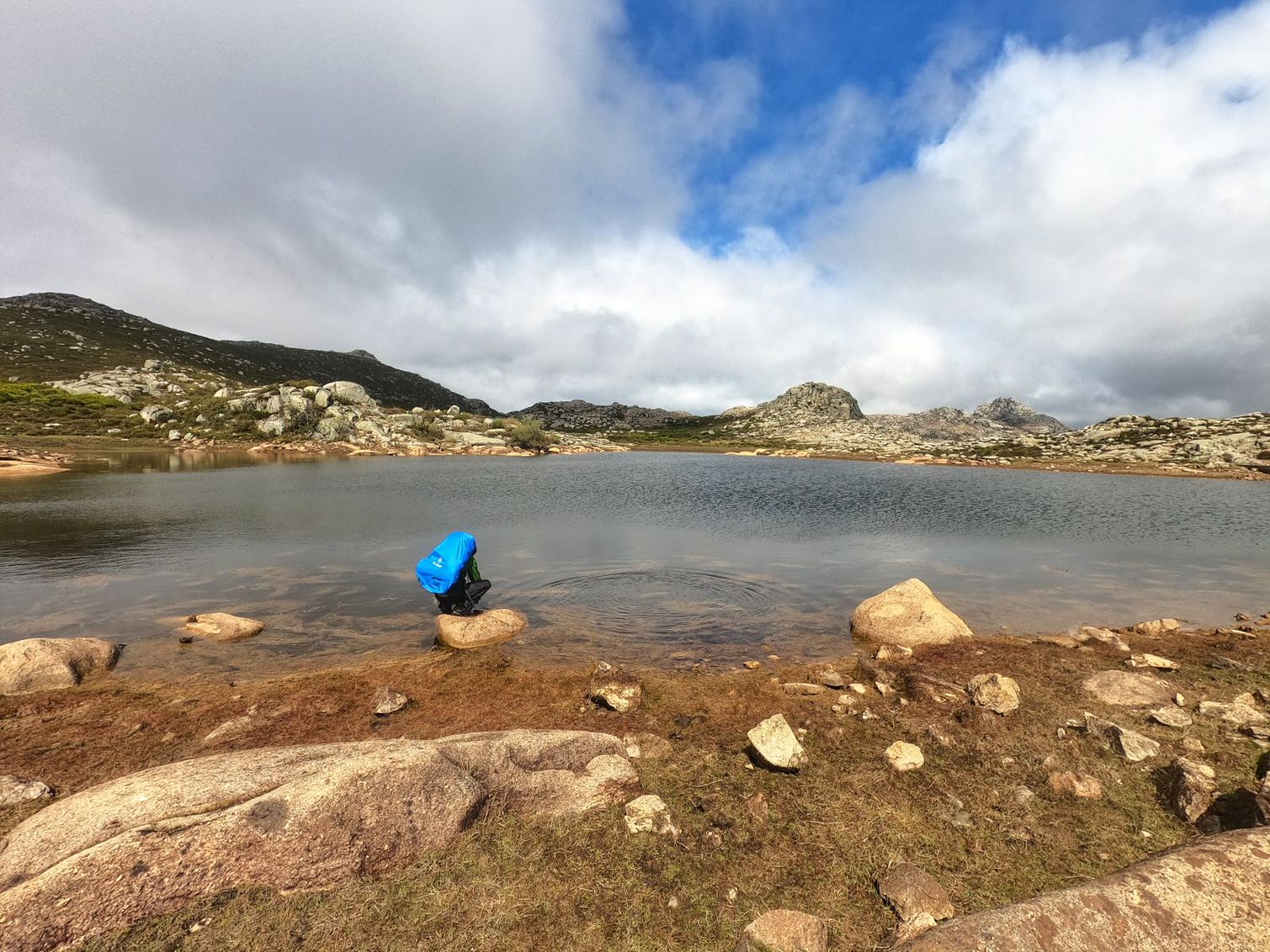 GOPR0770-01 Garranos no Parque Nacional