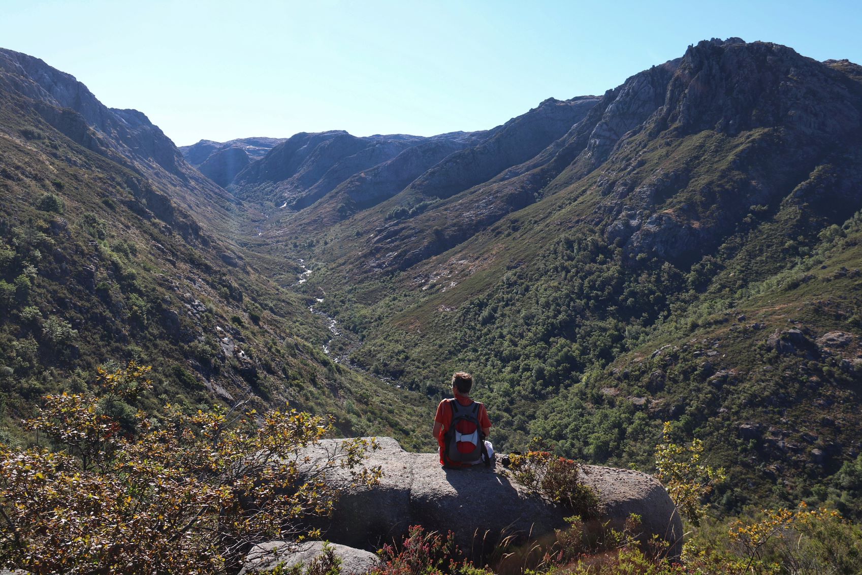 IMG_1700-01 Garranos no Parque Nacional