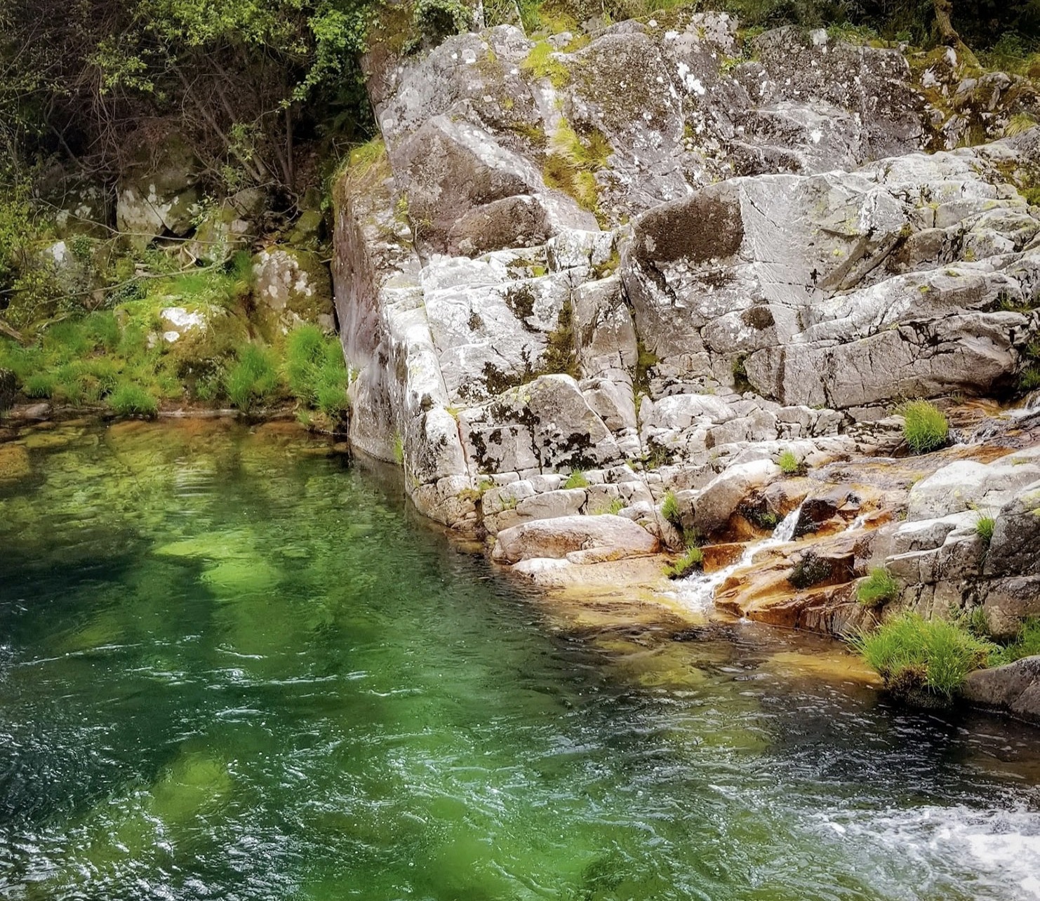 5919B3C7-A473-4E4A-95D1-70B3110C04AD_1_201_a Cabra-Montês – Capra Pyrenaica