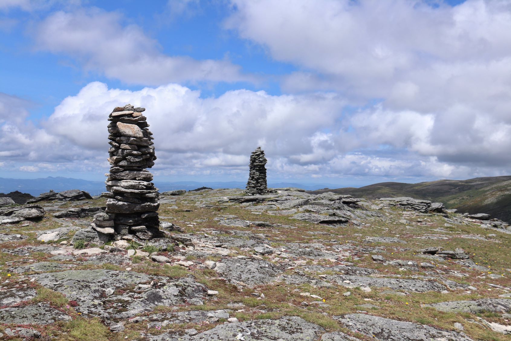 IMG_2872-01 Garranos no Parque Nacional