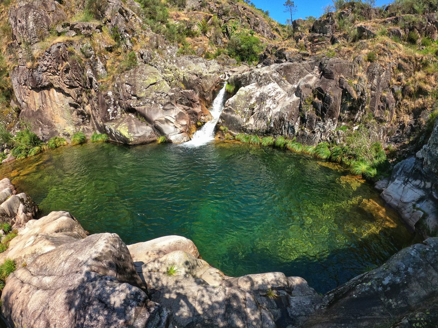 GOPR0987-01 Garranos no Parque Nacional