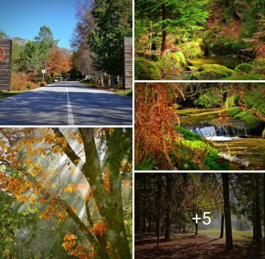 SmartSelect_20210710-141216_Facebook Garranos no Parque Nacional