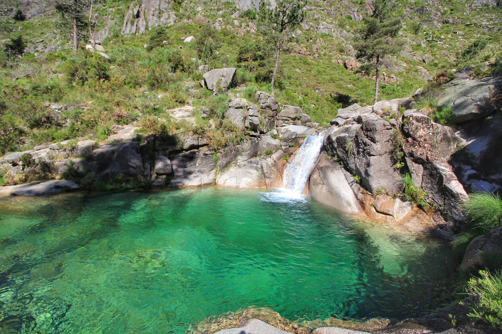 IMG_3202-01 Garranos no Parque Nacional