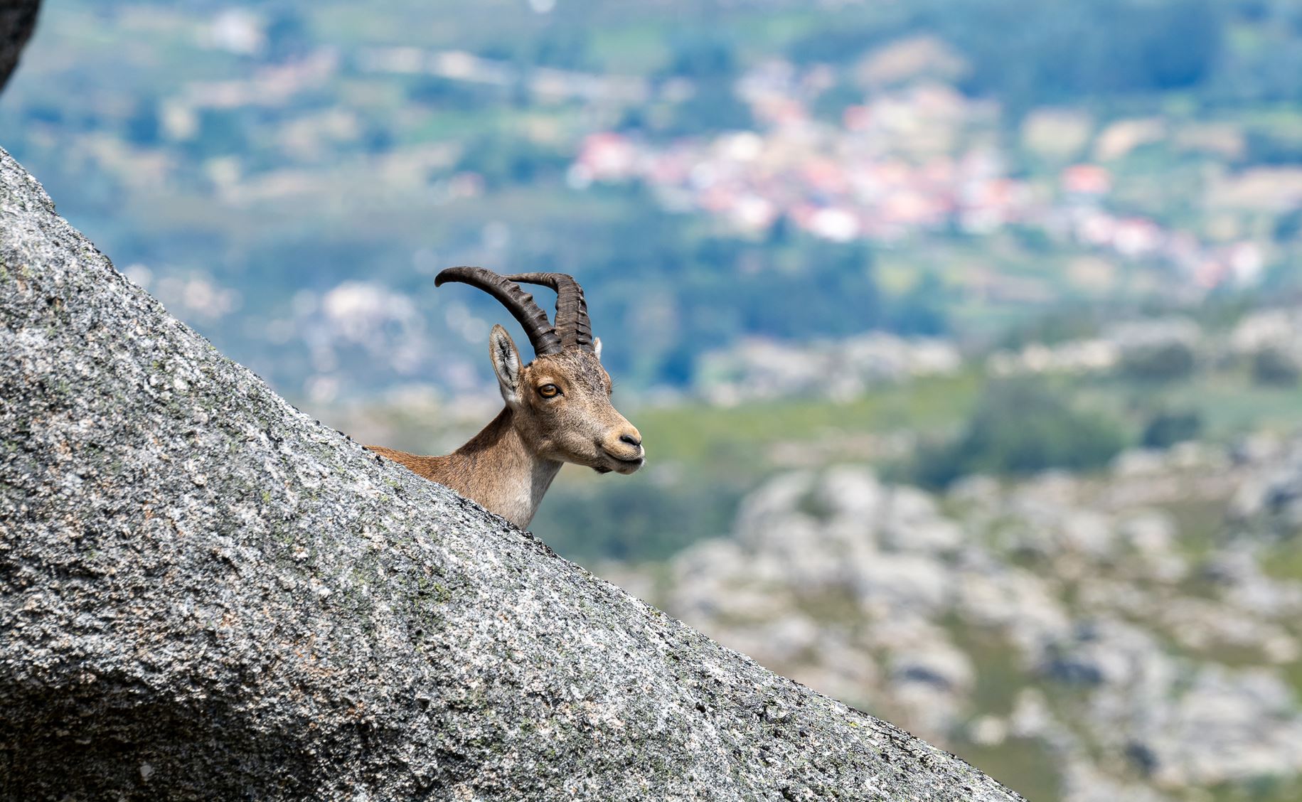 22259633-7EC1-482F-B7FB-7AE9F4E5DBCA Abrigos dos Pastores - Serra de Soajo!