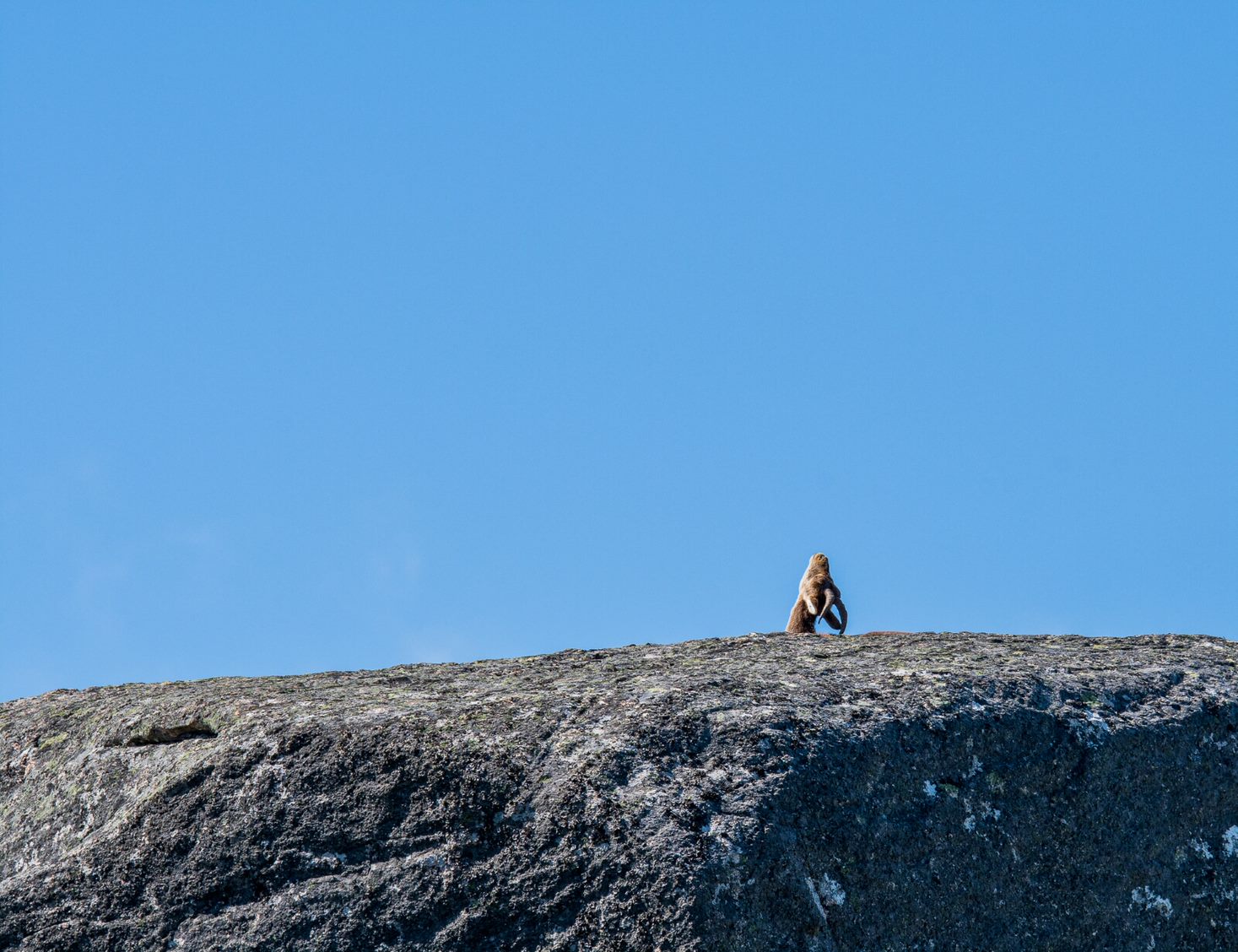 F1D3242D-68BB-40B0-B731-BF0F60EFA061 Abrigos dos Pastores - Serra de Soajo!