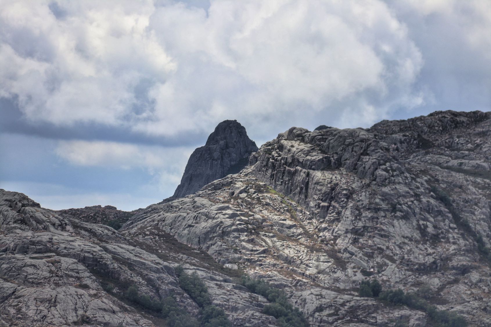 IMG_8929_PNPG-01 Garranos no Parque Nacional