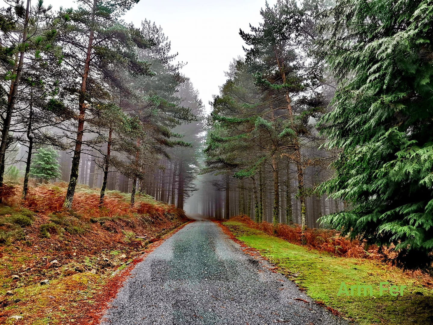 244415114_961109011111305_3824041851913501972_n Garranos no Parque Nacional