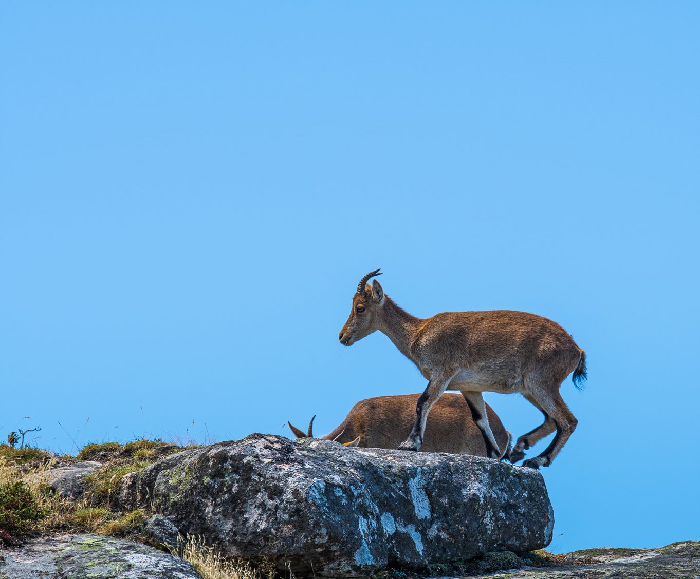 6A58D929-04A1-4E09-AB00-759186C0087C Abrigos dos Pastores - Serra de Soajo!