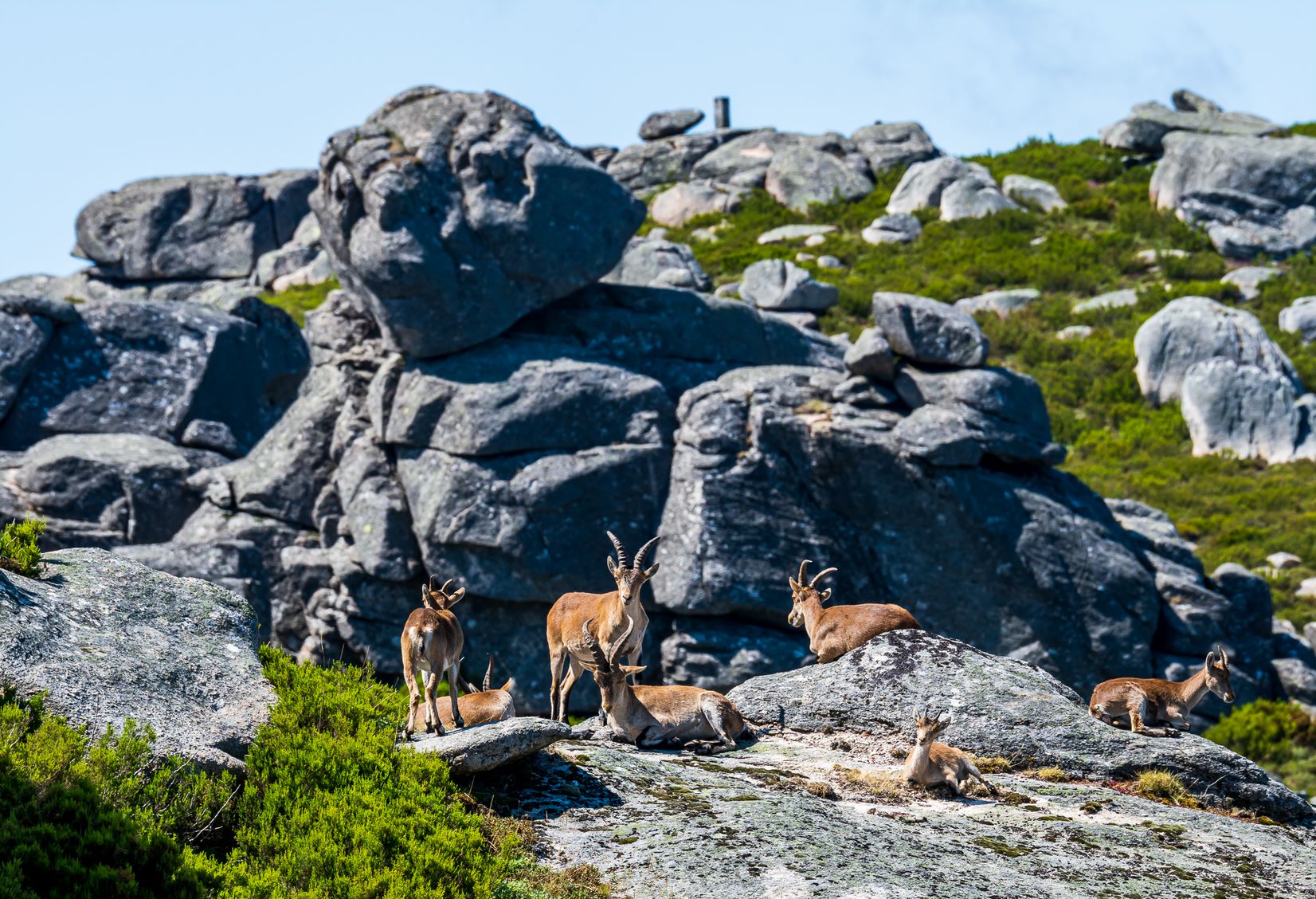 CB5B6C06-653C-485F-BF60-4977062491E5 Abrigos dos Pastores - Serra de Soajo!