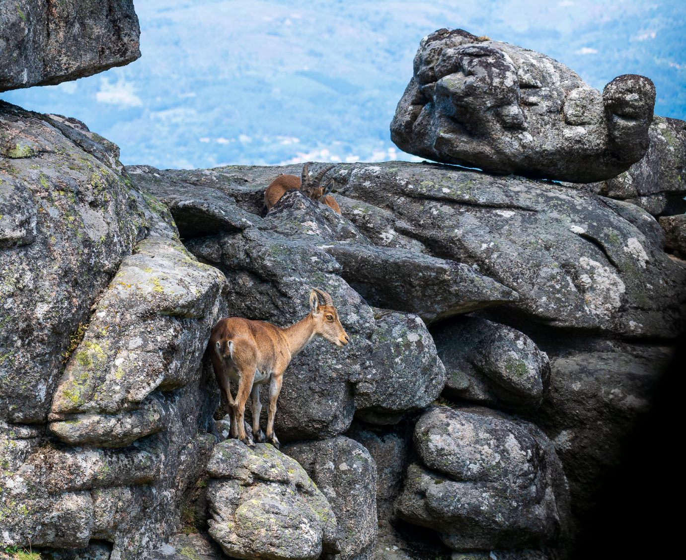 8A3E567E-3AAA-4DA3-A0C4-DF9A66B08B19 Abrigos dos Pastores - Serra de Soajo!