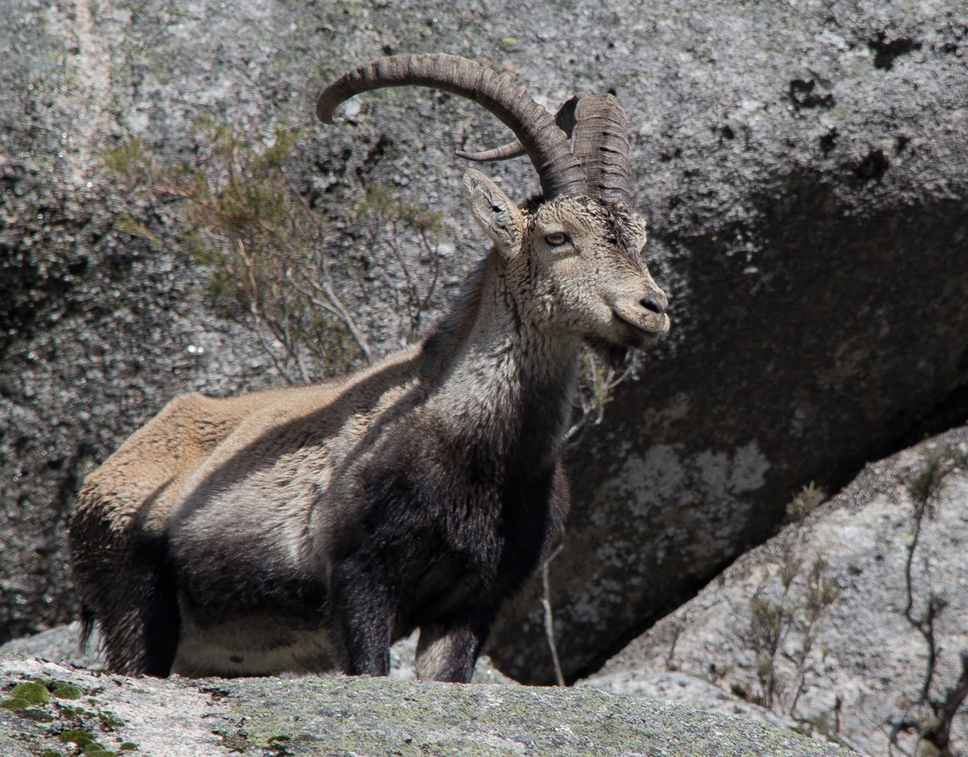 935B49B5-DFBF-4B65-8EFC-32D4B384BB0E_1_201_a Abrigos dos Pastores - Serra de Soajo!