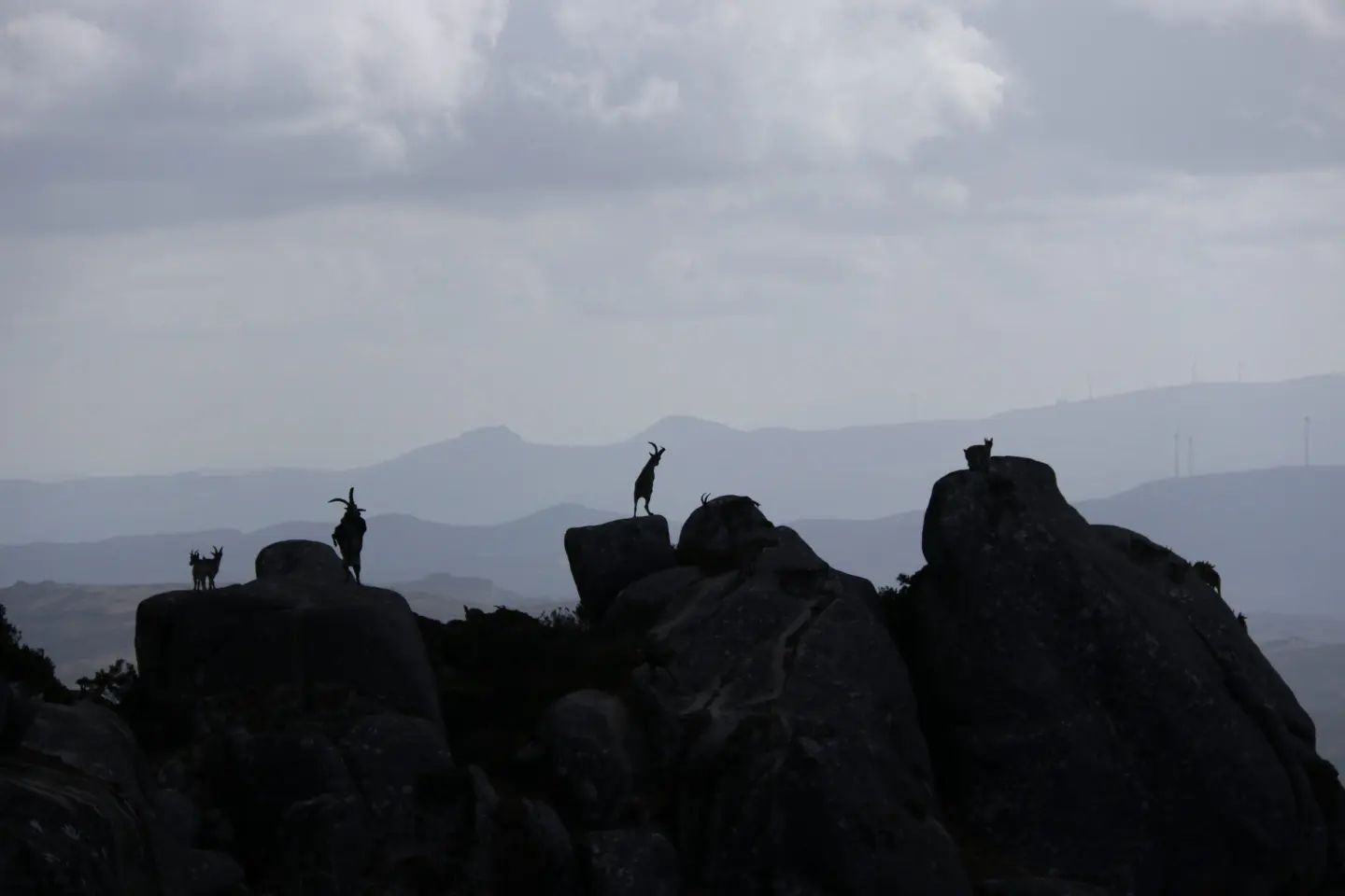 274949971_3168684173451602_3706623086469094019_n Abrigos dos Pastores - Serra de Soajo!