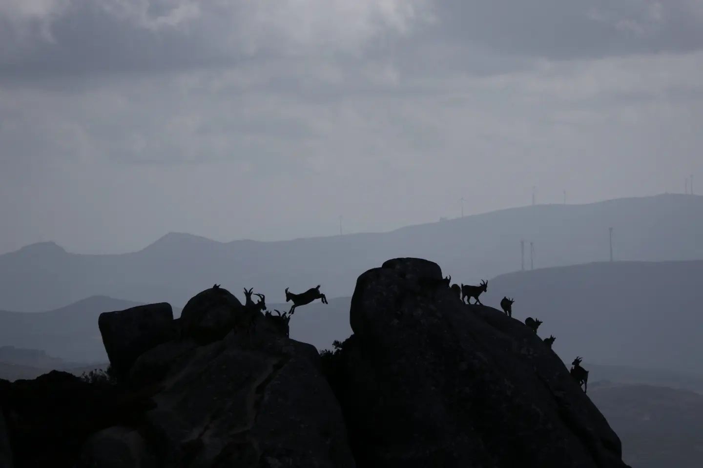 274697550_3168684176784935_1916767852455021293_n Abrigos dos Pastores - Serra de Soajo!