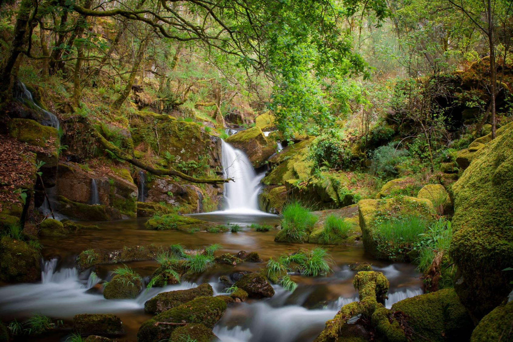 IMG-20220428-WA0000 Abrigos dos Pastores - Serra de Soajo!