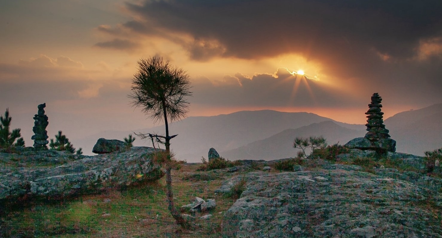 43C1FA8F-7E19-46B6-B0B3-CADD5DA3DE59_1_201_a Cabra-Montês – Capra Pyrenaica