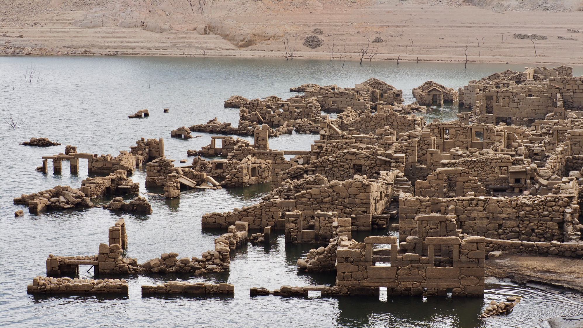 111C5814-A969-4703-8DC6-7DA5CAB2C4B8_1_201_a Cabra-Montês – Capra Pyrenaica