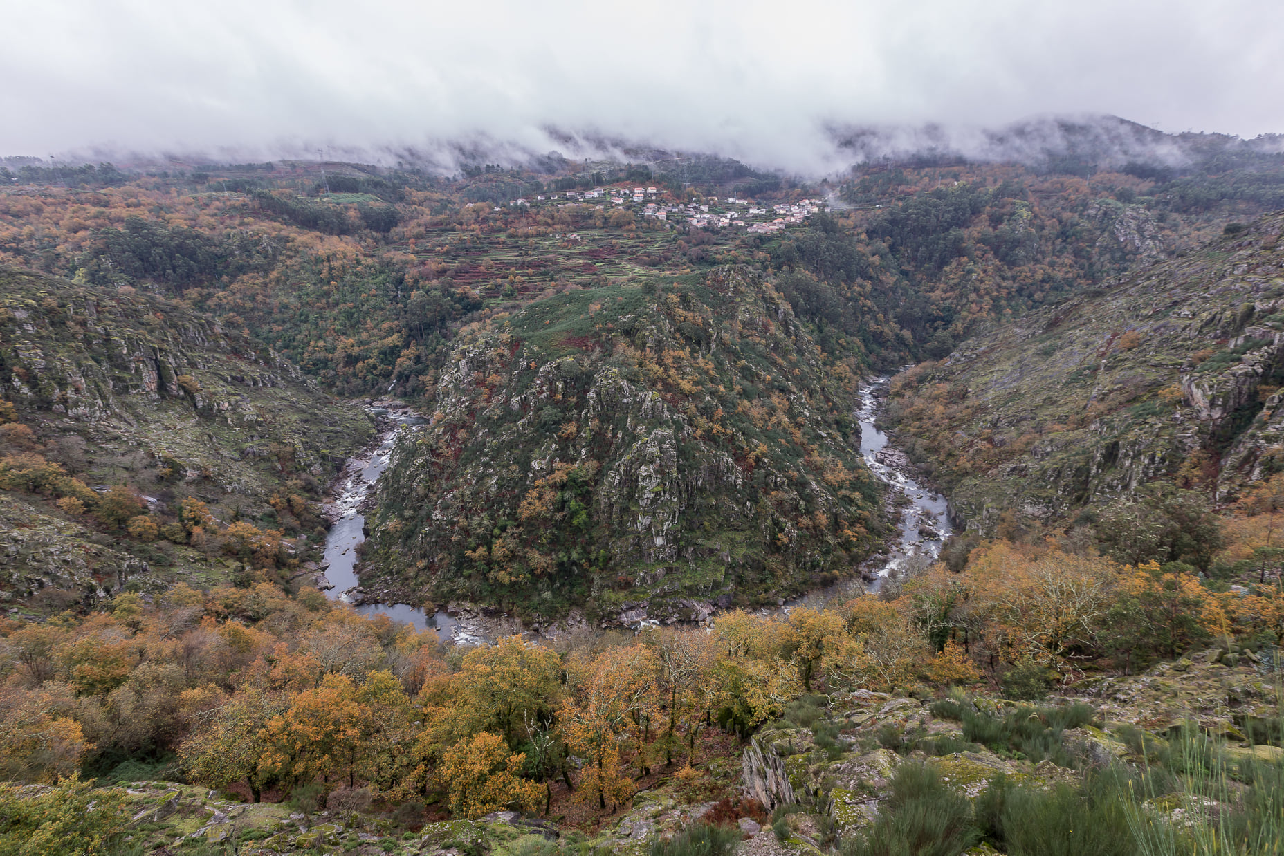 271105010_4886926381357702_6975979610254947788_n Cabra-Montês – Capra Pyrenaica