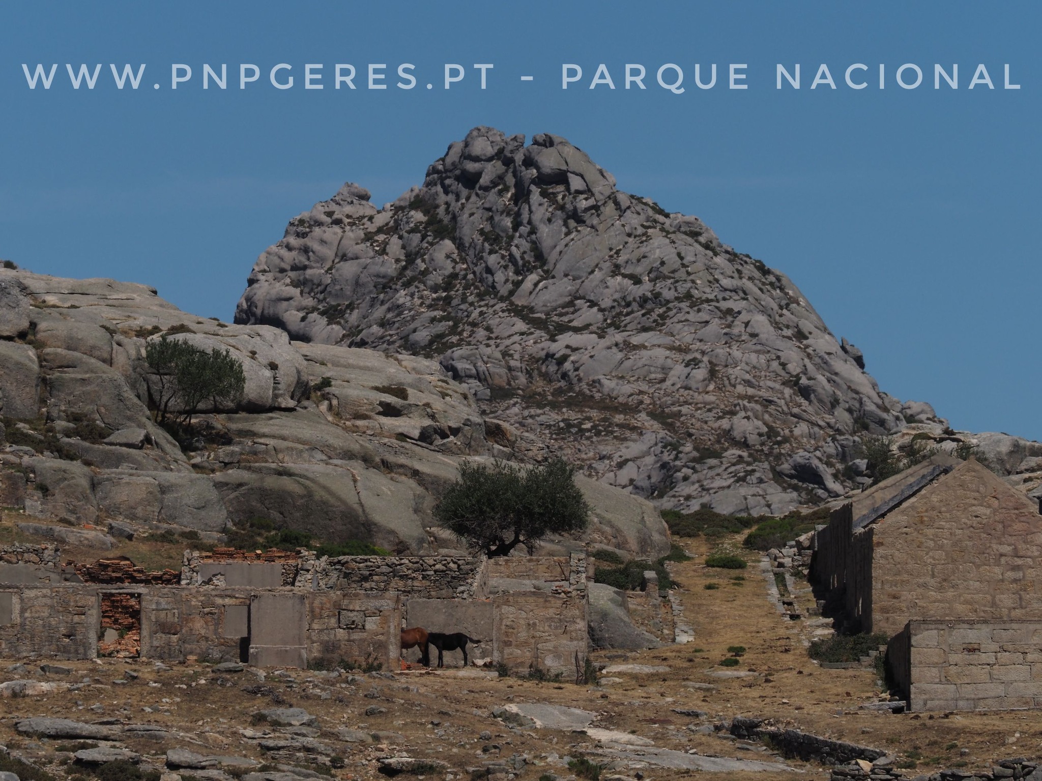 595630096_3195884073908589_3167600237815348932_n Garranos no Parque Nacional