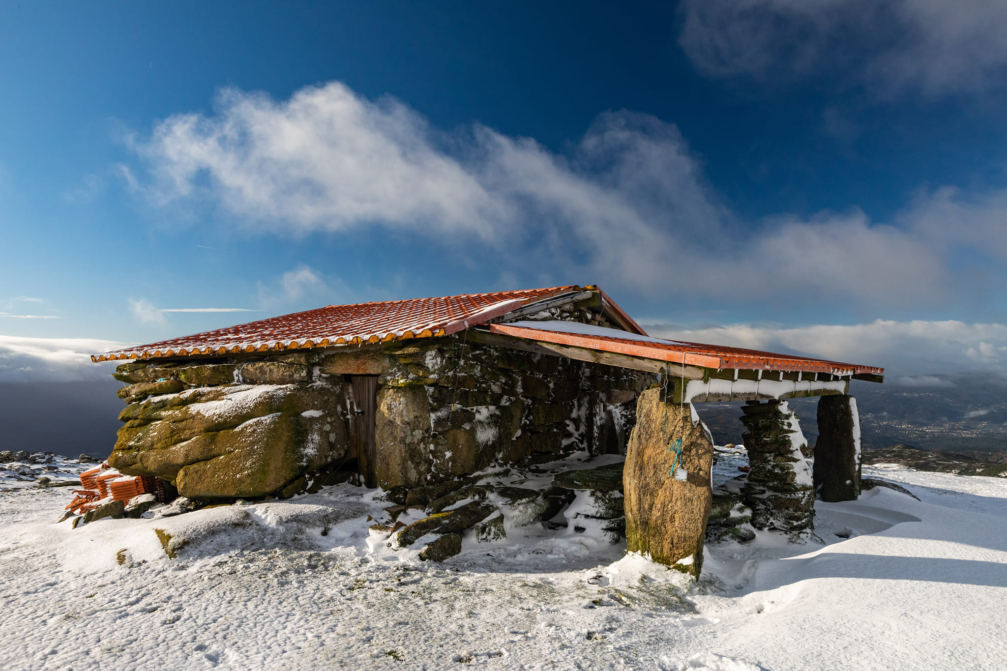 323296748_494016566147126_597399659334521255_n Cabra-Montês – Capra Pyrenaica