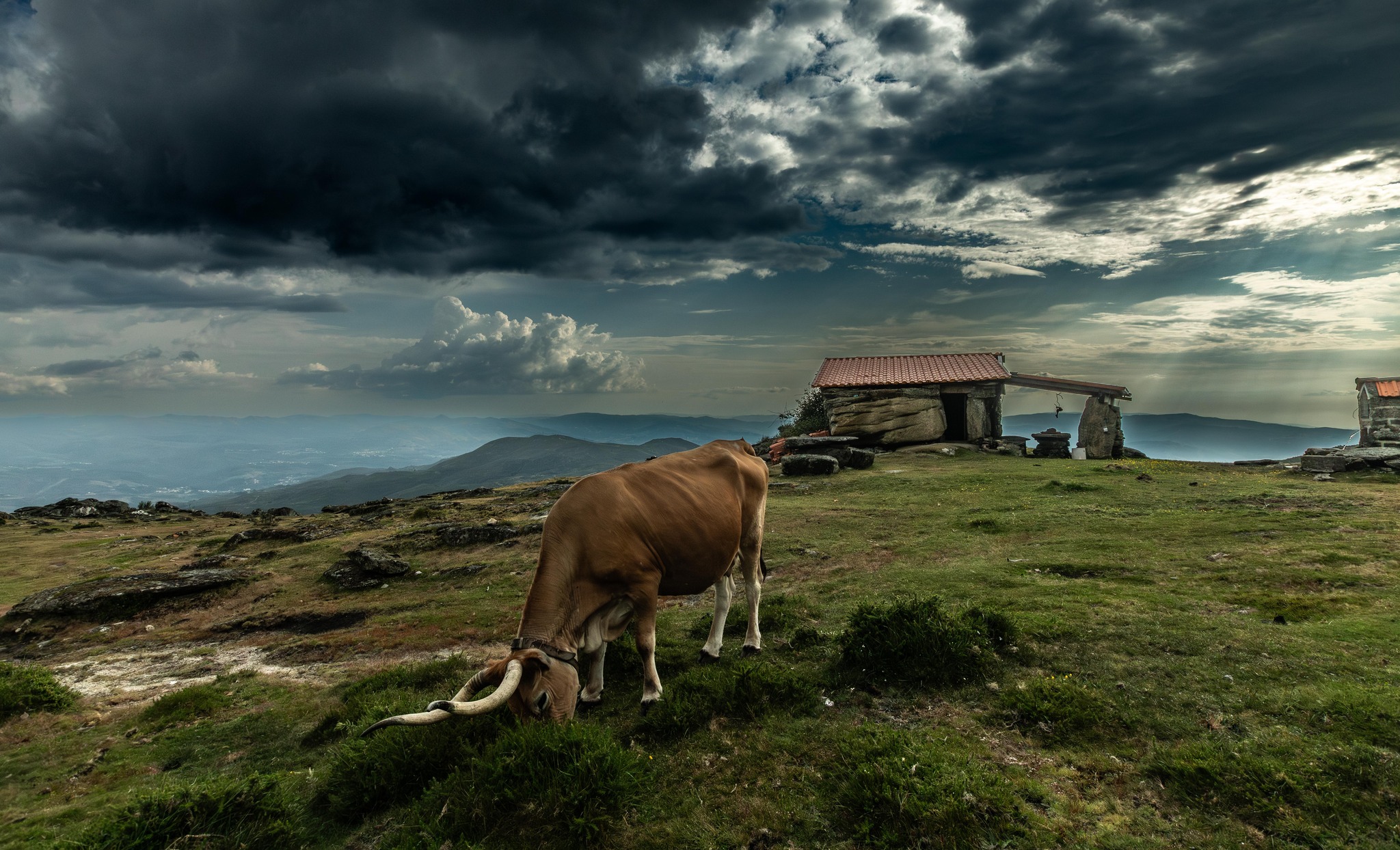 416106496_7222073061176344_7130632536961650089_n Garranos no Parque Nacional