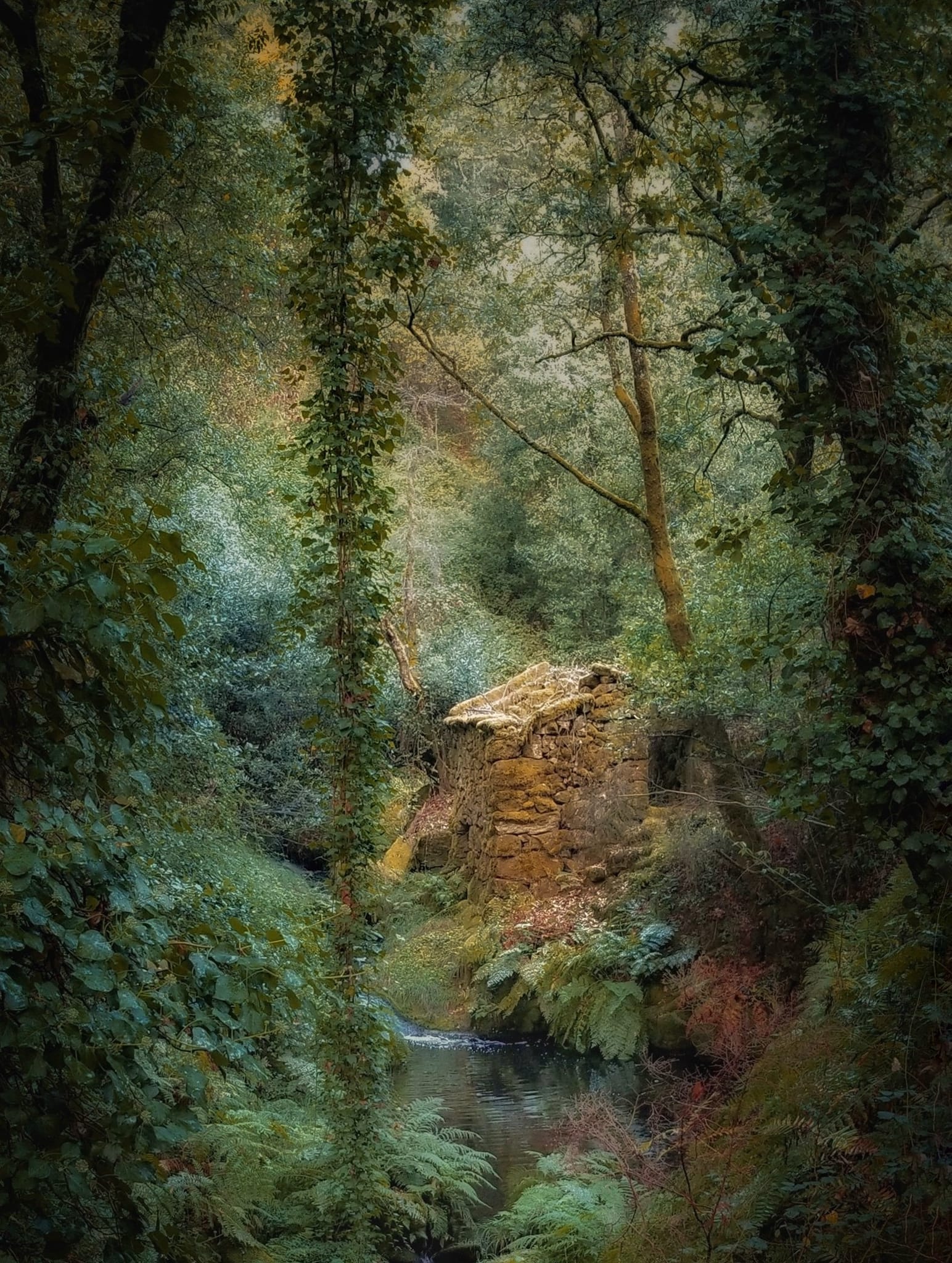 407439052_759140589573682_3776967109359805692_n Garranos no Parque Nacional