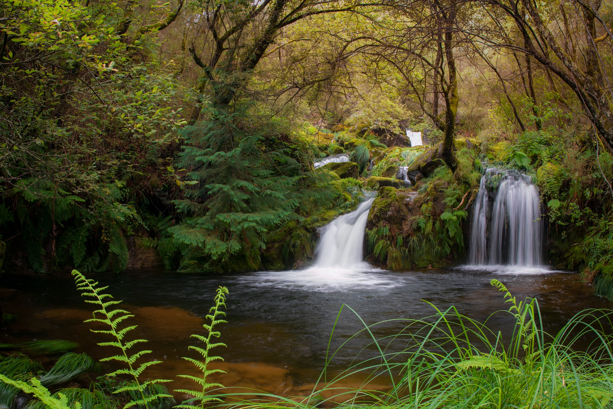 439907731_851273040360436_5101283769619882150_n Garranos no Parque Nacional