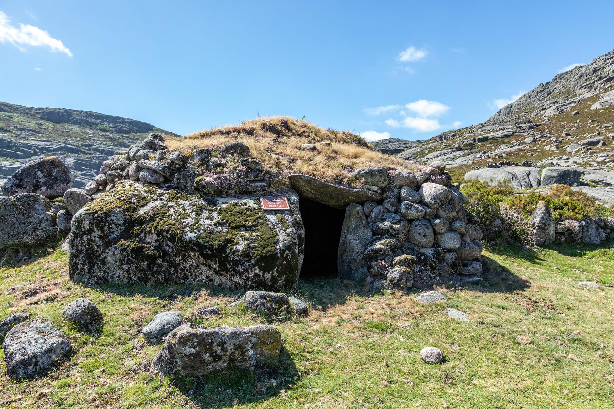 448827142_7955290864521223_6691125604557661151_n Cabra-Montês – Capra Pyrenaica