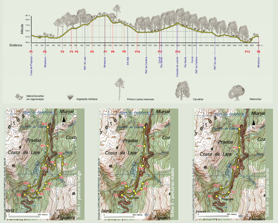 Captura-de-Tela-2020-05-09-as-12.27.01 Garranos no Parque Nacional