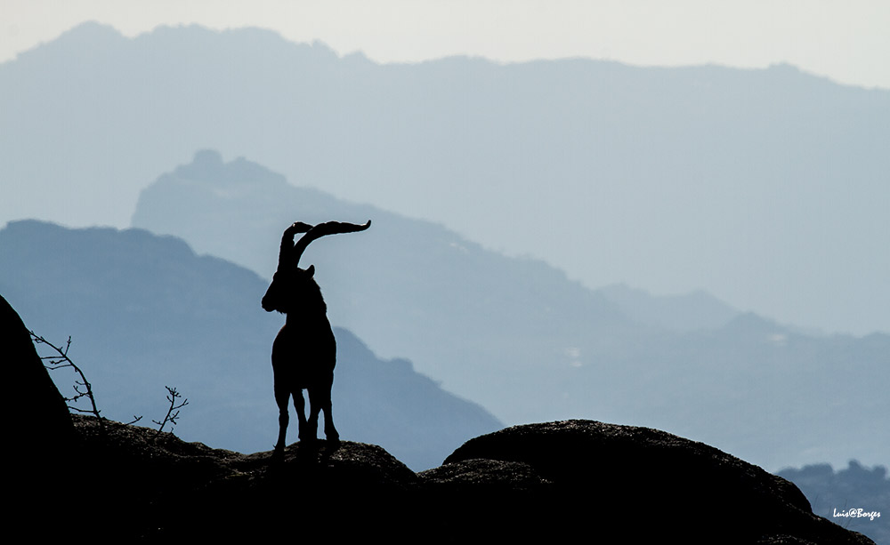 15937205_1473322786013882_2488108891552104392_o A Lagoa