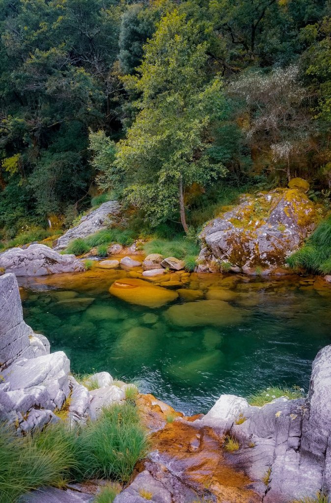 195397165_2536368776671962_8340437788477473179_n Soajo – Paraiso Natural