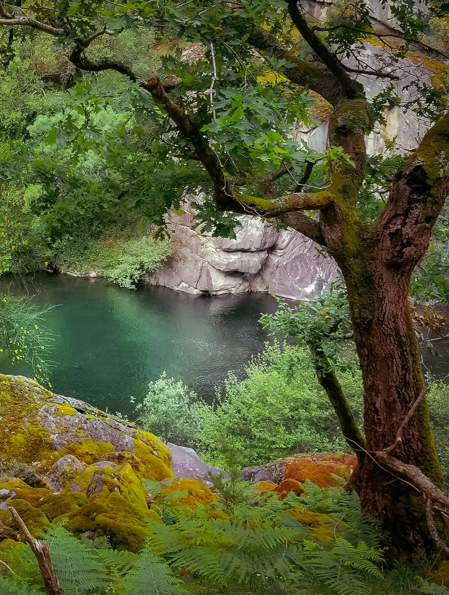 518287038_1184216290399441_4592508922423432044_n Soajo – Paraiso Natural – Gigantes!