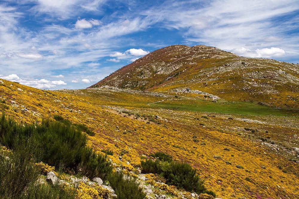 526593083_24709196471999852_7150197676784298456_n Era uma vez a Serra Amarela, PNPG...