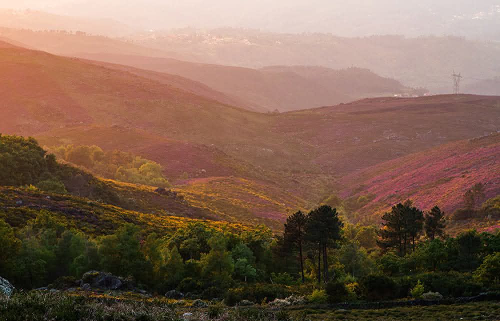 527232707_24712368438349322_2741763230179427762_n Era uma vez a Serra Amarela, PNPG...