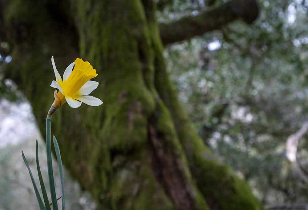 528070565_24725507477035418_6023108385629425199_n A Lagoa