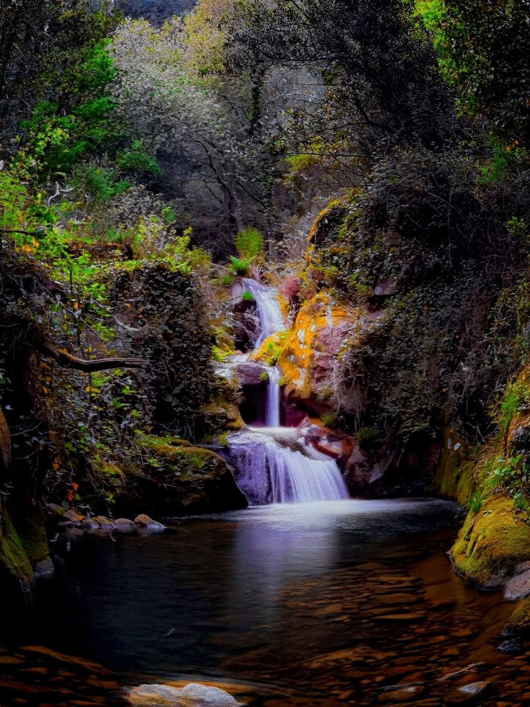 172136788_2498743450434495_3692032988667020872_n-2 Soajo – Paraiso Natural