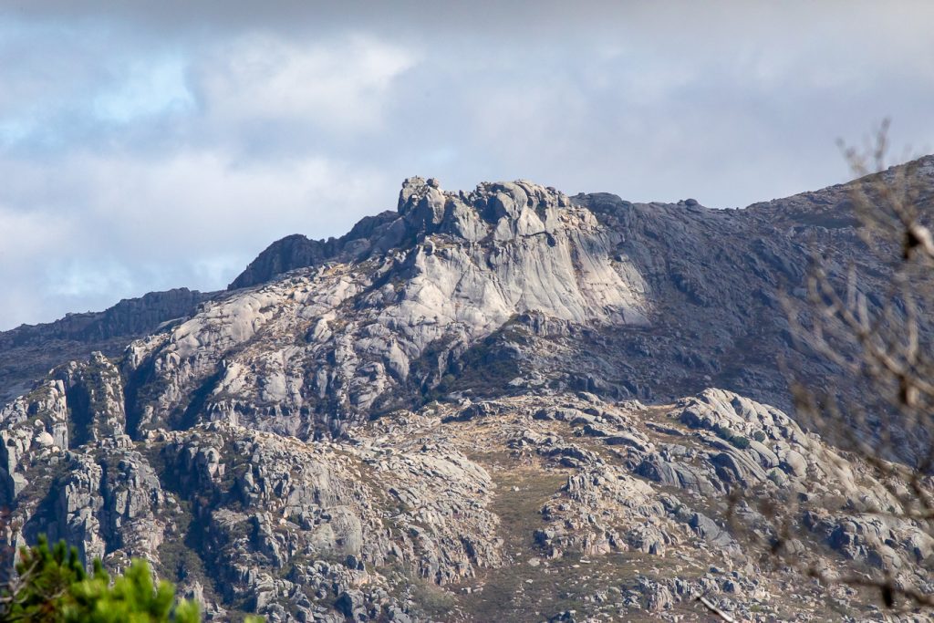 547772905_24749038311386548_1516771337223451340_n-1024x683 Cantarelo