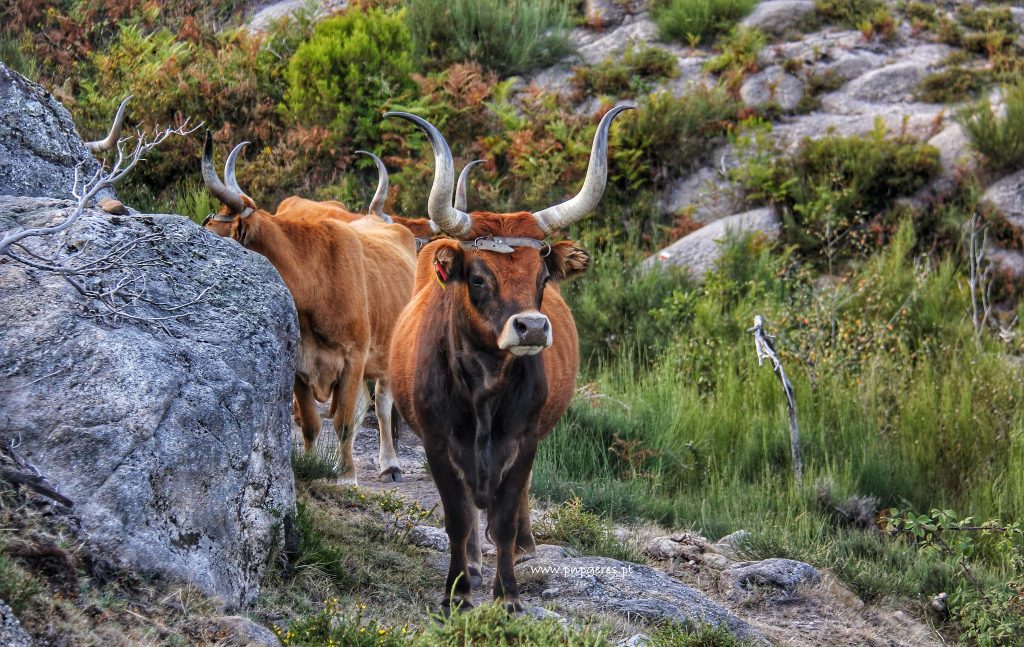 561883514_3136382506525413_2761108966602651128_n-1-1024x647 Momento