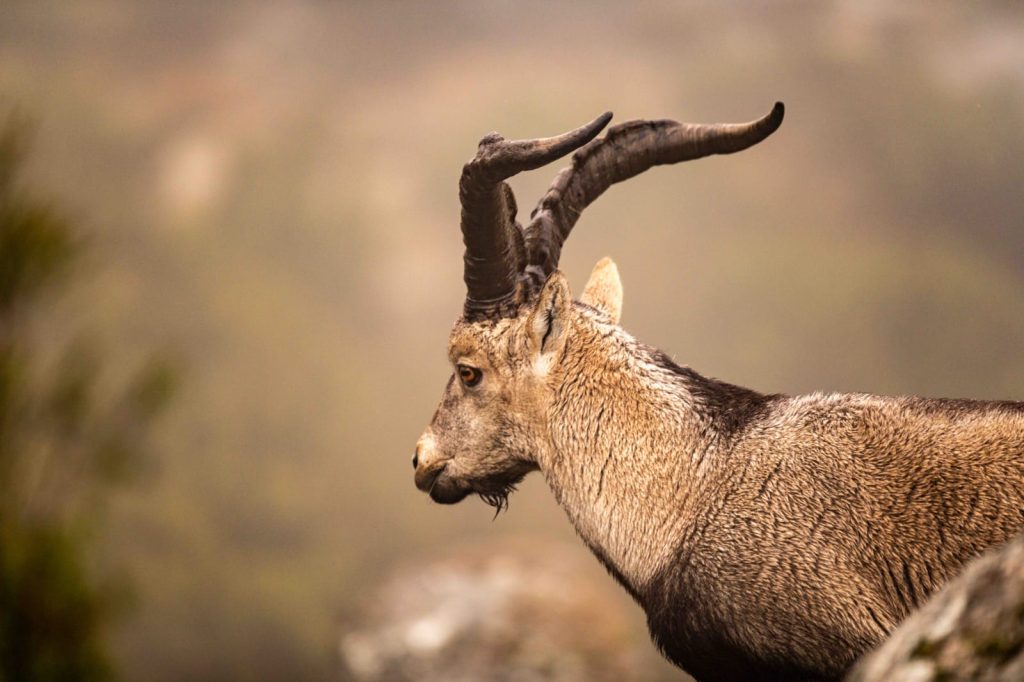 IMG-20251017-WA0005-1024x682 Momento